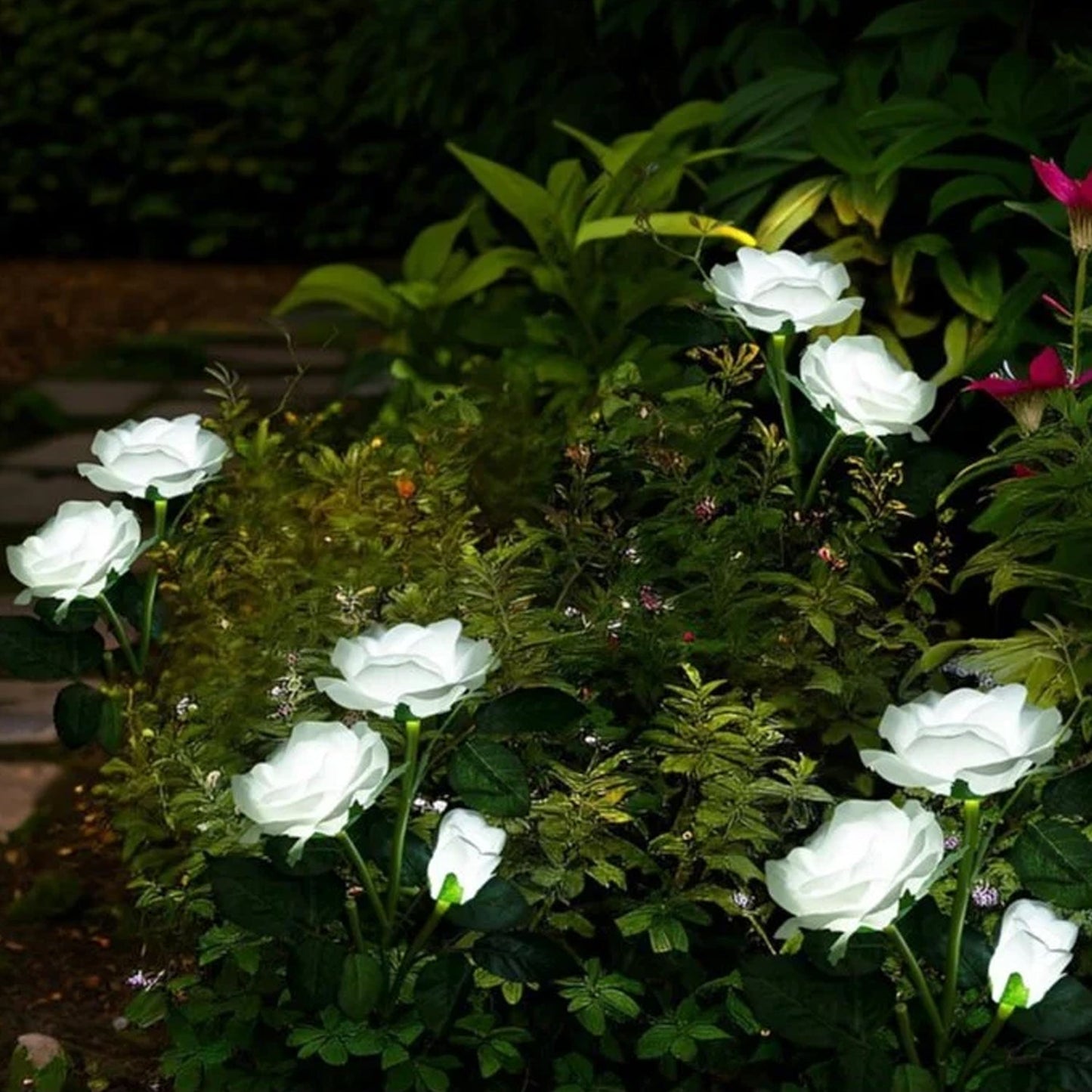 Decorative solar garden flower lights illuminating lawn area