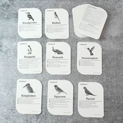 Montessori-aligned bird flashcards promoting sensory and cognitive learning for toddlers